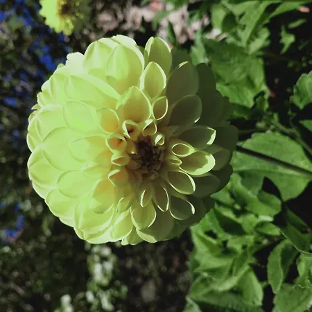 Rectoria Nova Nocleg ze śniadaniem 3*