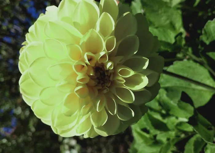 Rectoria Nova Alojamento de Acomodação e Pequeno-almoço 3*